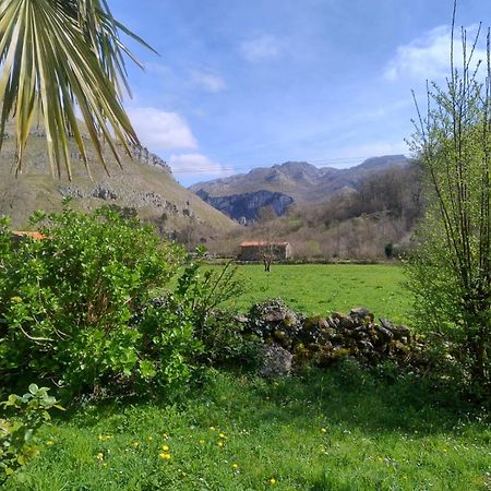Amplia Y Comoda Casa De Piedra Con Porche Y Jardin San Roque de Riomiera ภายนอก รูปภาพ