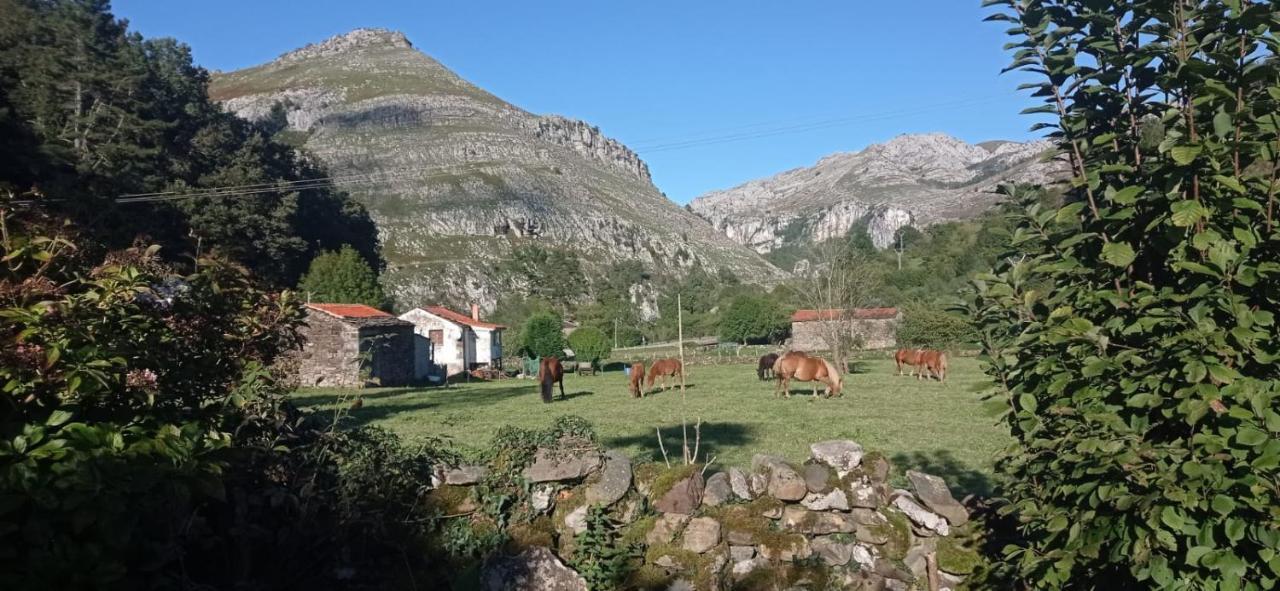 Amplia Y Comoda Casa De Piedra Con Porche Y Jardin San Roque de Riomiera ภายนอก รูปภาพ