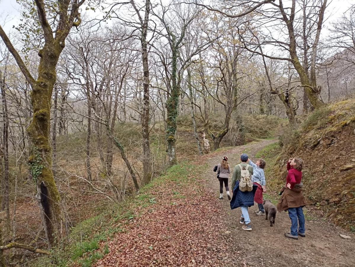 Amplia Y Comoda Casa De Piedra Con Porche Y Jardin San Roque de Riomiera ภายนอก รูปภาพ