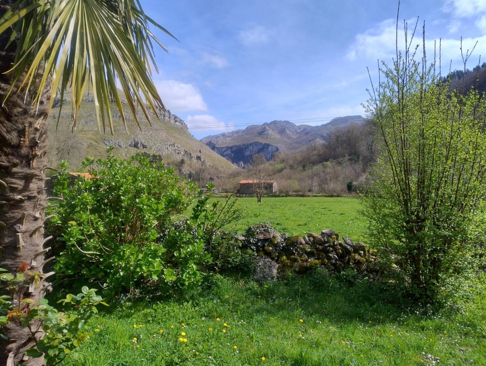Amplia Y Comoda Casa De Piedra Con Porche Y Jardin San Roque de Riomiera ภายนอก รูปภาพ